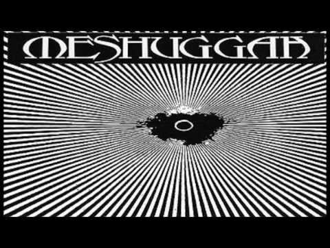 Meshuggah - The Debt of Nature