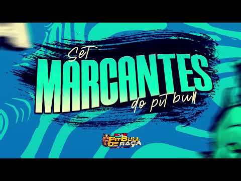 SET MARCANTES PITBULL DE RAÇA (DJ RENNA E DJ ERICK) - P PITBULL DE RAÇA