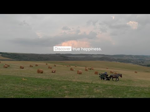 Visit Romania - Băla - Mureș
