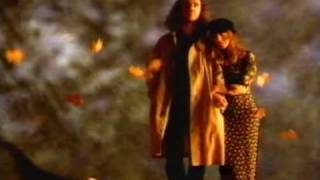 El Pintor del Arco Iris Lyrics English Translation