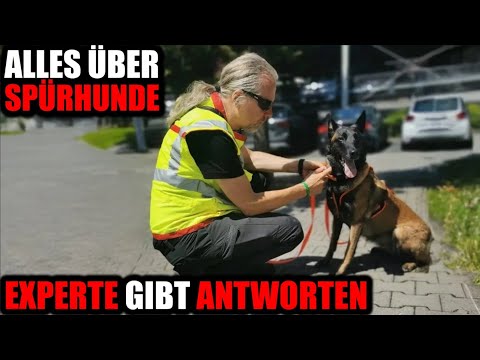 Zum Fall Oliver K: Mantrailer, Flächensuchhunde und Co. - Experte im Telefoninterview