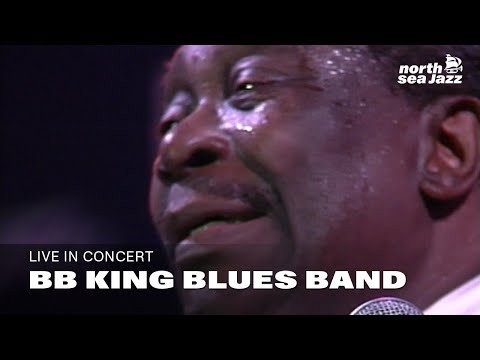 BB King Blues Band - Full Concert [HD] | North Sea Jazz (1993)