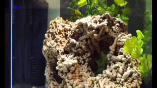 Bonobo Ft Erykah Badu - Heaven For The Sinner