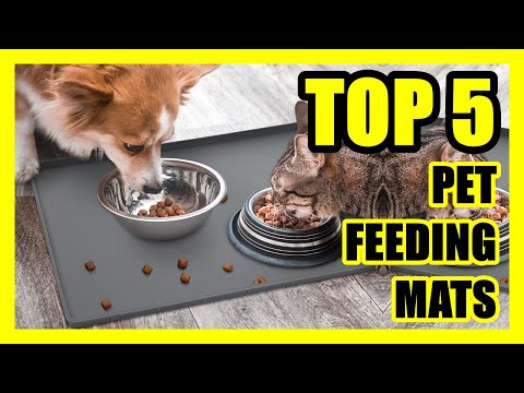 TOP 5: Best Pet Feeding Mat 2022 | Flexible and Waterproof for Dog and Cat