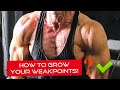 How to Grow your Weakpoints - Tips, Tricks, Cues + Chest Training - Ryan Nellestyn