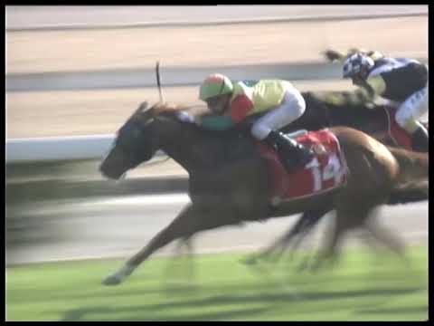 2019-02-16 Race 4(0154) - MACAU GOLDEN GROUP FAT CHOY PLATE