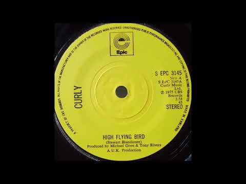 Curly - High Flying Bird