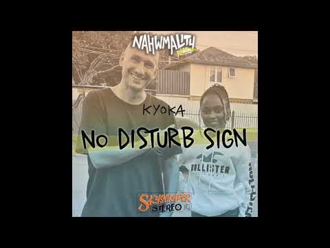 Kyoka X Skyscraper Stereo - No Disturb Sign (Nahwmality Riddim)