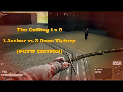 The Culling Game Review