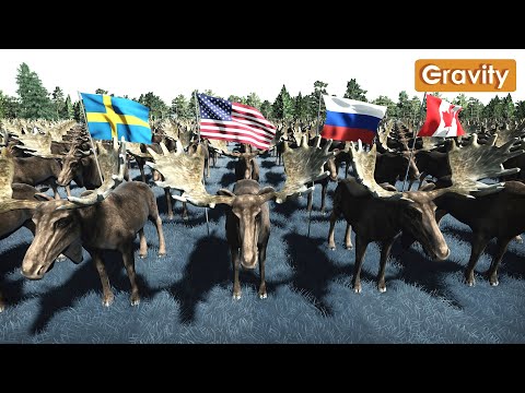 Moose population by Country 2023