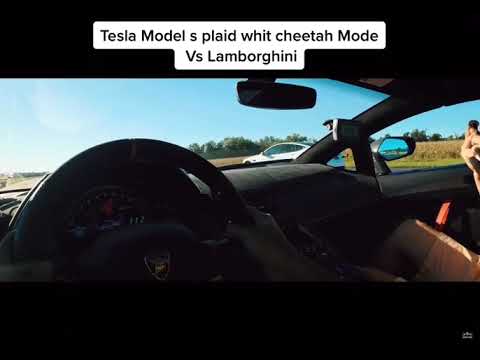 1200hp Twin-Turbo Lamborghini Huracan vs $150k Tesla Model S Plaid #viral #tesla #lamborghini