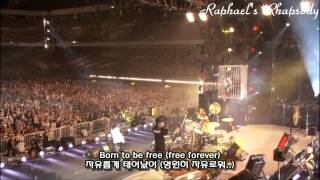 X JAPAN (X) - Born To Be Free LIVE 2010 (Korean, English Sub)