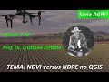 NDVI X NDRE E Cálculo No QGIS
