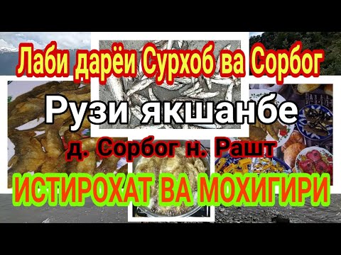 ИСТИРОХАТ ВА МОХИГИРИ || РУЗИ ЯКШАНБЕ || ЛАБИ ДАРЁИ СУРХОБ ВА СОРБОГ || ДЕХАИ СОРБОГ НОХИЯИ РАШТ