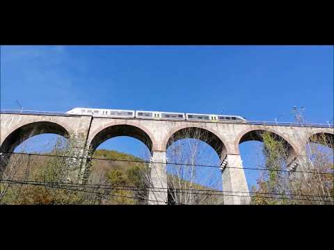 MINUETTO D. IN ENTRATA E USCITA DALLA GALLERIA ELICOIDALE A VERNANTE (CN) DOM. 21 - 10 - 2018