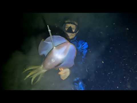 Muling bumalik sa Pamamana,  ngayon lang nakahuli ng ganito kalaki 😲 #viralvideos #ytviralvideo