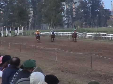 Gran Carrera De Cuarto De Milla Treinta y Tres