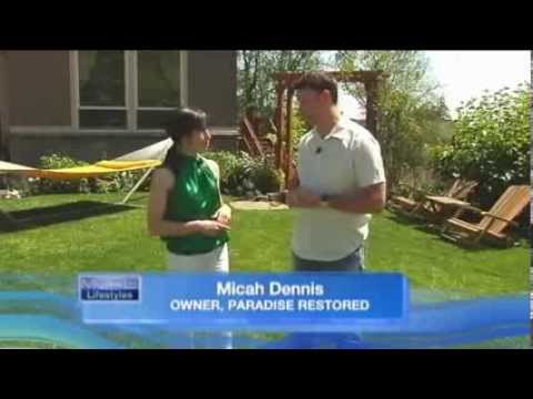 download lagu mp3 mp4 Green Grass Technology, download lagu Green Grass Technology gratis, unduh video klip Green Grass Technology