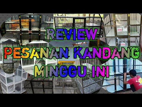 Review Pesanan Kandang Kucing Minggu ini