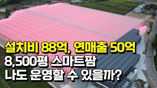 설치비 88억! 8500평 유리온실 스마트팜 연매출과 유지비, 손익분기점은?