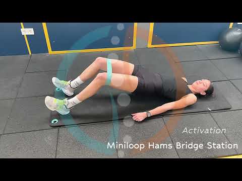 Miniloop hams bridge station