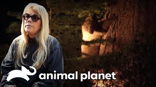 Thumbnail del capítulo