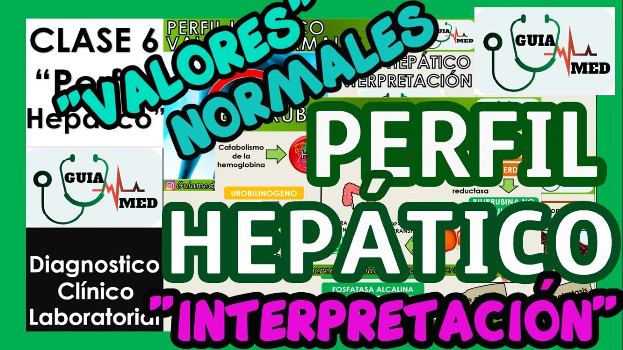 PERFIL HEPÁTICO INTERPRETACIÓN | GuiaMed
