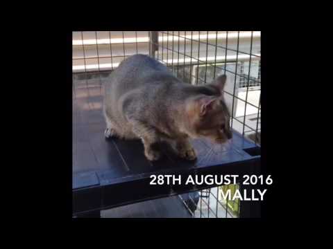 Mally and Lilli arrived at new location