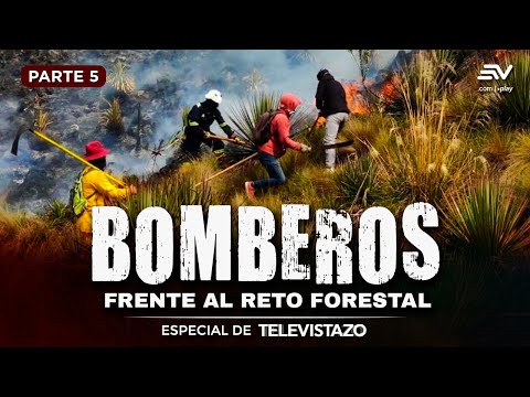 Bomberos de Cuenca y Girón se preparan para incendios en Azuay | Especial de Televistazo | Ecuavisa