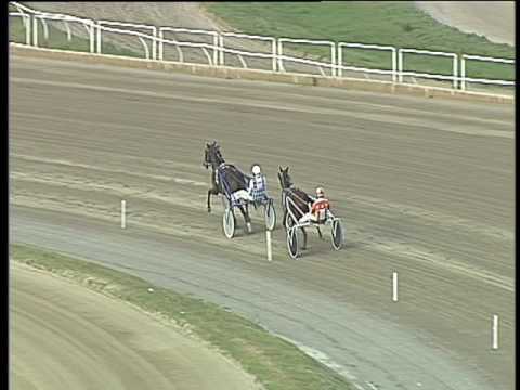 Trotto 07/04/2017 - prova di qualifica