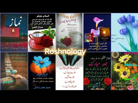 🌞 Good Morning Wishes with Beautiful Message & prayers| subah Bakhair WApp Status @roshnology3116