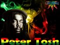 Peter Tosh - The Poor Man Feel It