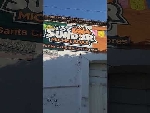 calle Montes de oca de santa cruz delas flores municipio de Tlajomulco Jalisco México