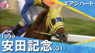 【グラスワンダーとの激闘をハナ差で制す！】1999年安田記念 (ＧⅠ) エアジハード【カンテレ公式】