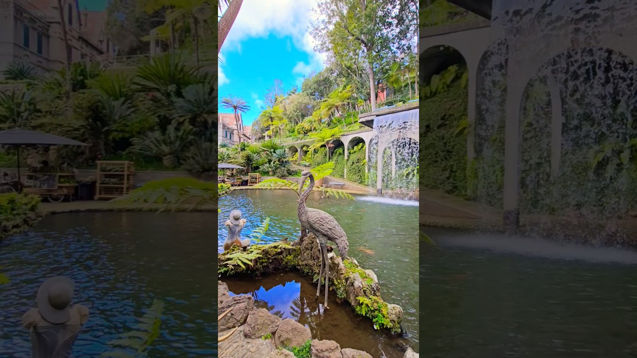 YouTube Short thumbnail