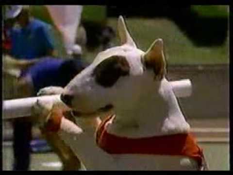 Bud Light Spuds McKenzie commercial during the olympics
