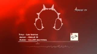 Calle 13 - Los Idiotas - Audio HD