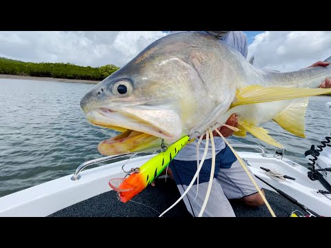 MONSTER Threadfin Salmon Fishing in Hervey Bay - Hervey Bay Fly and Sportfishing