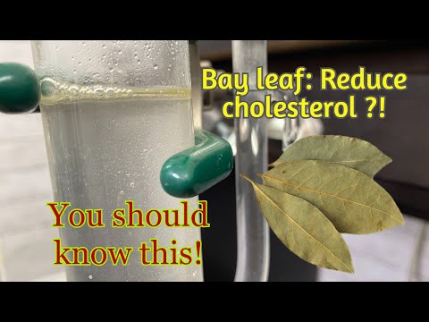 Warum wusste ich das nicht schon früher? Wasserdampfdestillation von Lorbeerblättern. Vorteile vo...