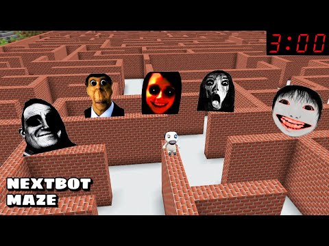 NEXTBOT MAZE OBUNGA AND FRIENDS CHASED ME in Minecraft - Gameplay - Coffin Meme
