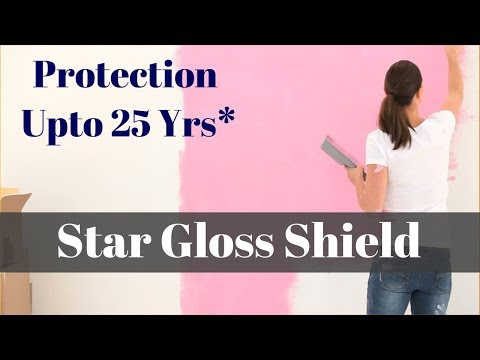 STAR GLOSS SHIELD