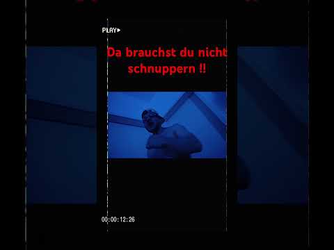 Jeder Geld Jäger, jeder Hustler, jeder Macher sollte den Song zu seiner anthem machen !! - GUAPO