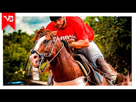 Jeito Matuto - Edy & Nathan Feat. Raí Saia Rodada (Clipe Vaquejada) VB Oficial