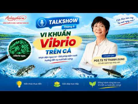 TALKSHOW #37 - VI KHUẨN VIBRIO TRÊN CÁ | Achaupharm