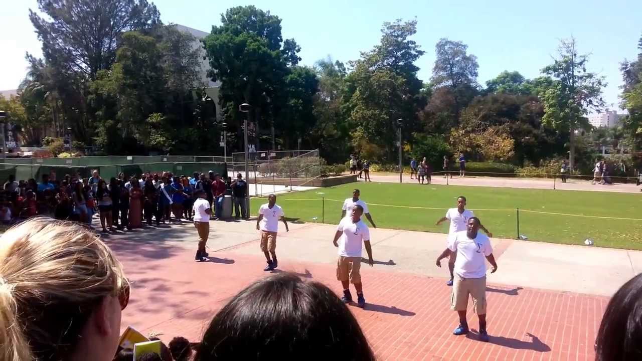 PBS Lambda Iota 2013 Yardshow