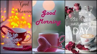 Beautiful Good morning dp pic|#Good morning dp|#Good morning dp whatsapp|#Good morning dp status|