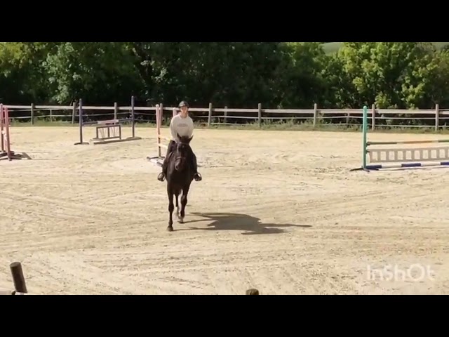 Top 4 ans pour amateur ambitieux 