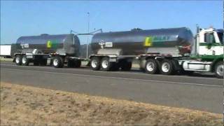 Jambalaya (on the Bayou) - Creedence Clearwater Revival - Hank Williams - by Blue Bird live in 1973