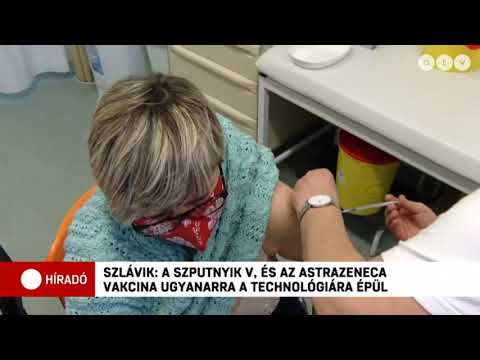 fogadási zsírvesztés zsírvesztés 4 hónap