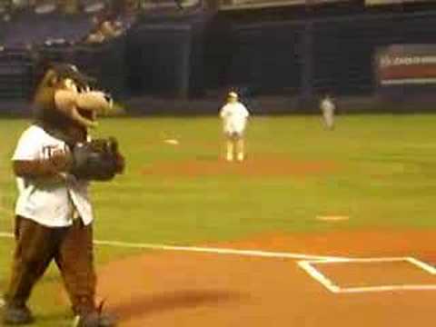 Linda Guille Throws out first pitch